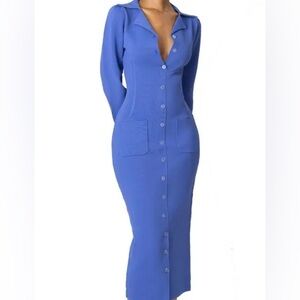 Hanifa Button-Front Long Sleeve Bodycon Dress - Blue